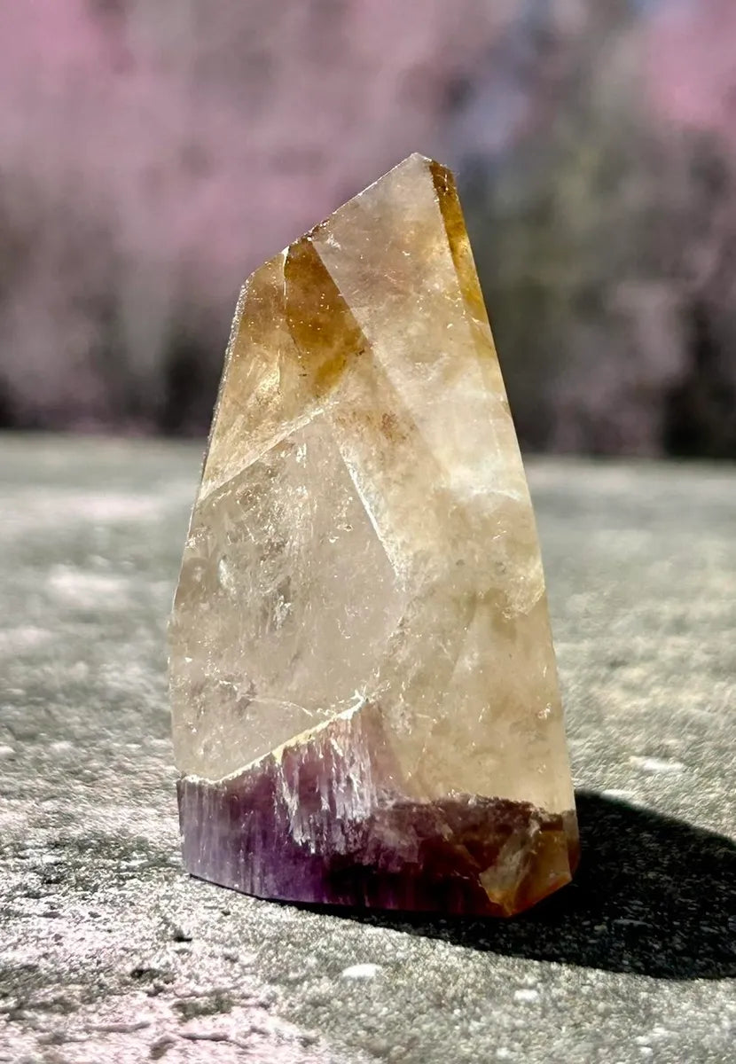Polished Dreamcoat Lemurian Quartz