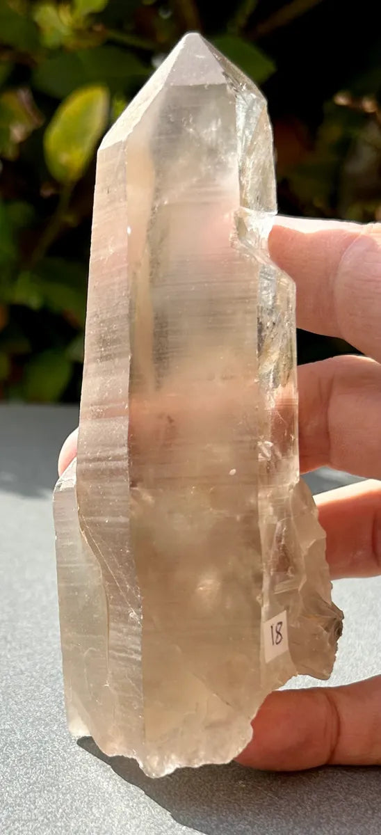 Smokey Lemurian Quartz Point