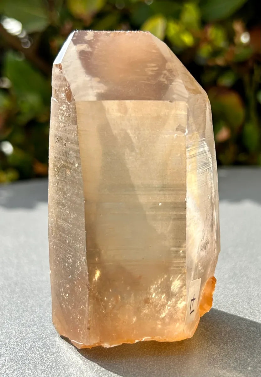 Smokey Lemurian Quartz Point