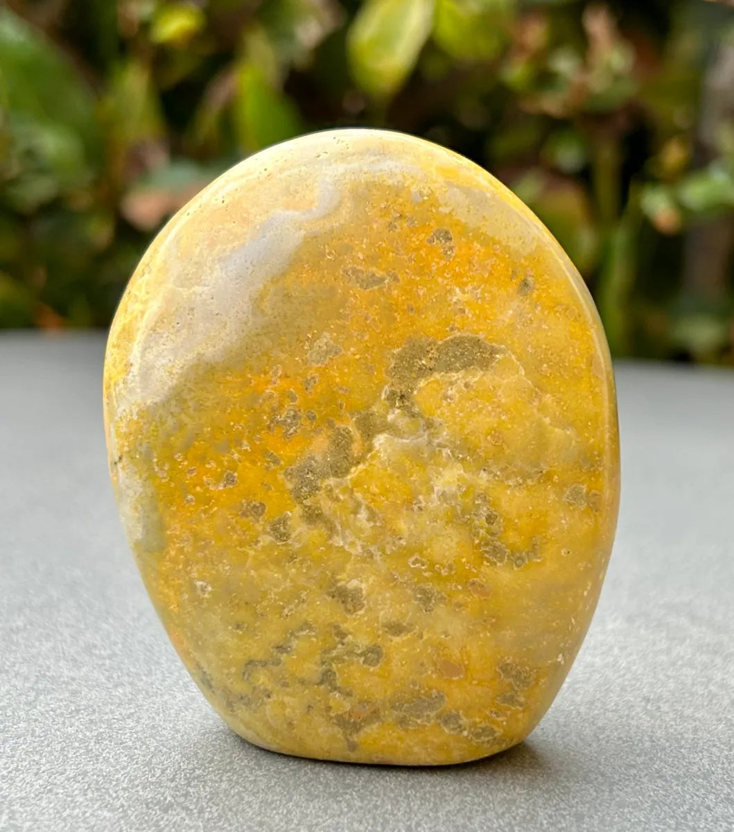 Bumblebee Jasper Freeform