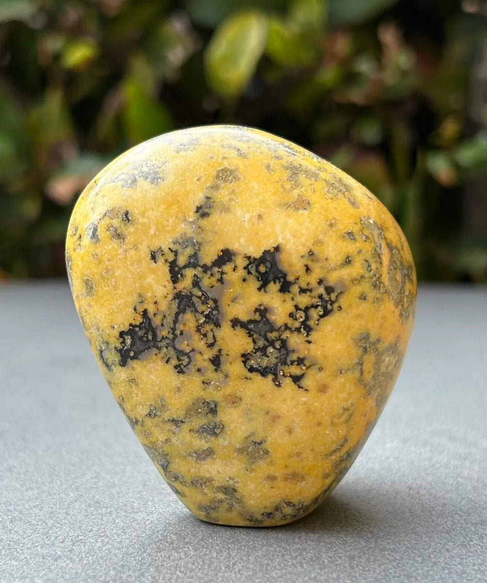 Bumblebee Jasper Freeform
