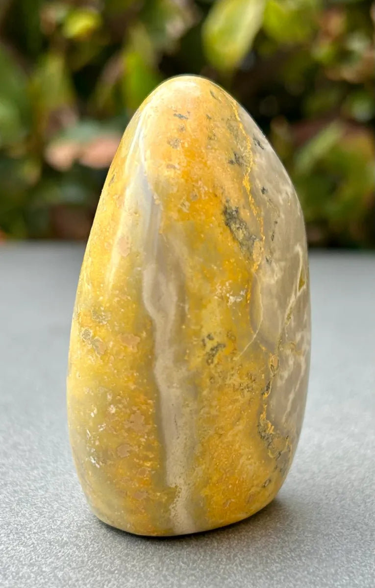 Bumblebee Jasper Freeform