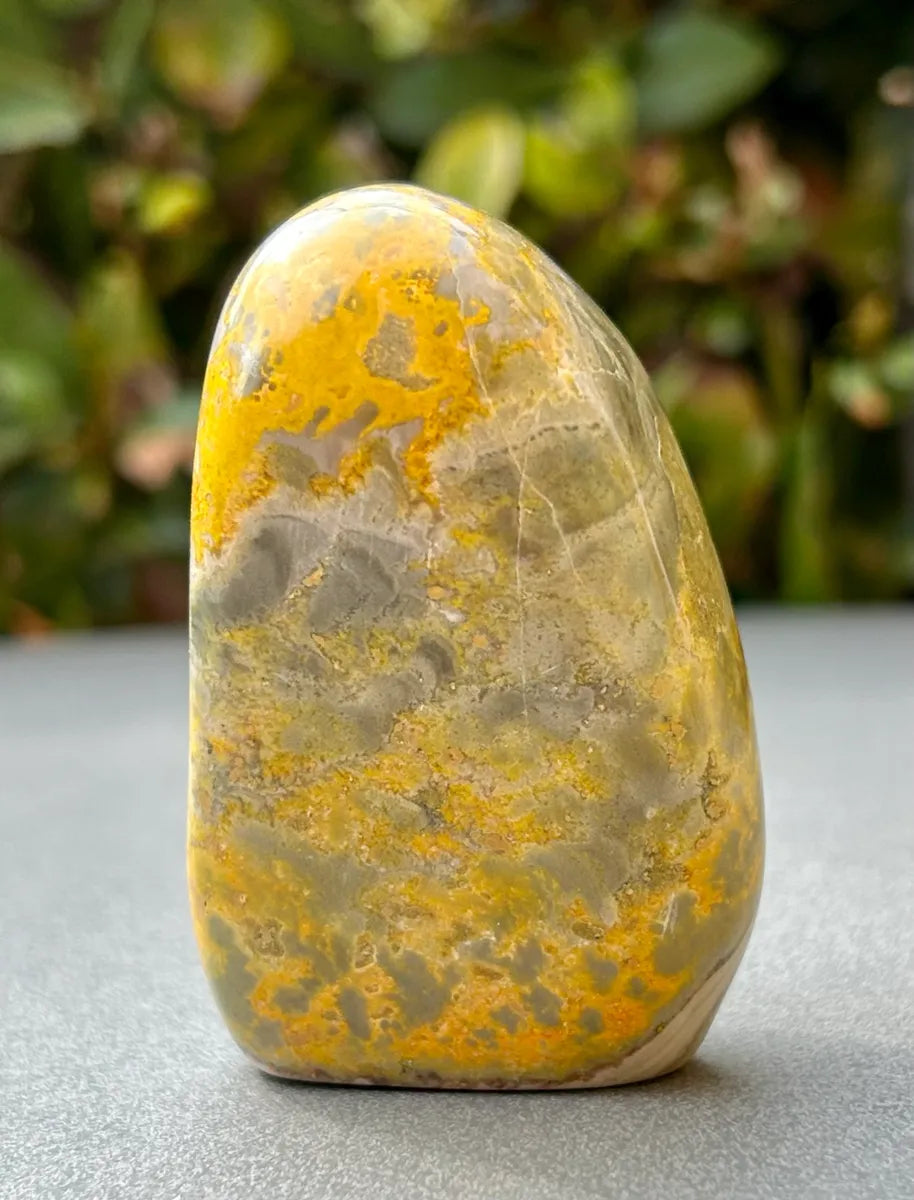 Bumblebee Jasper Freeform