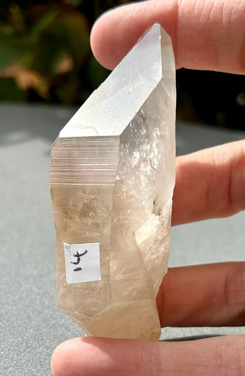 Smokey Lemurian Quartz Point