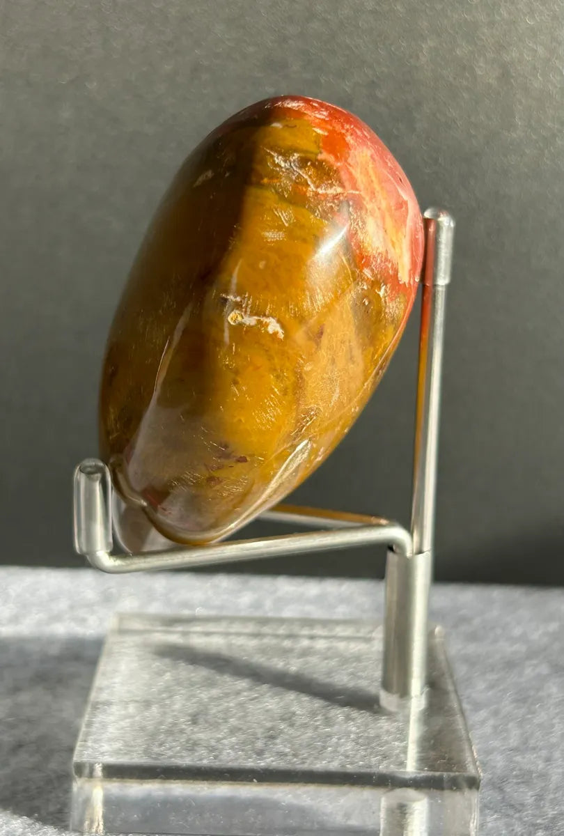 Petrified Wood Heart