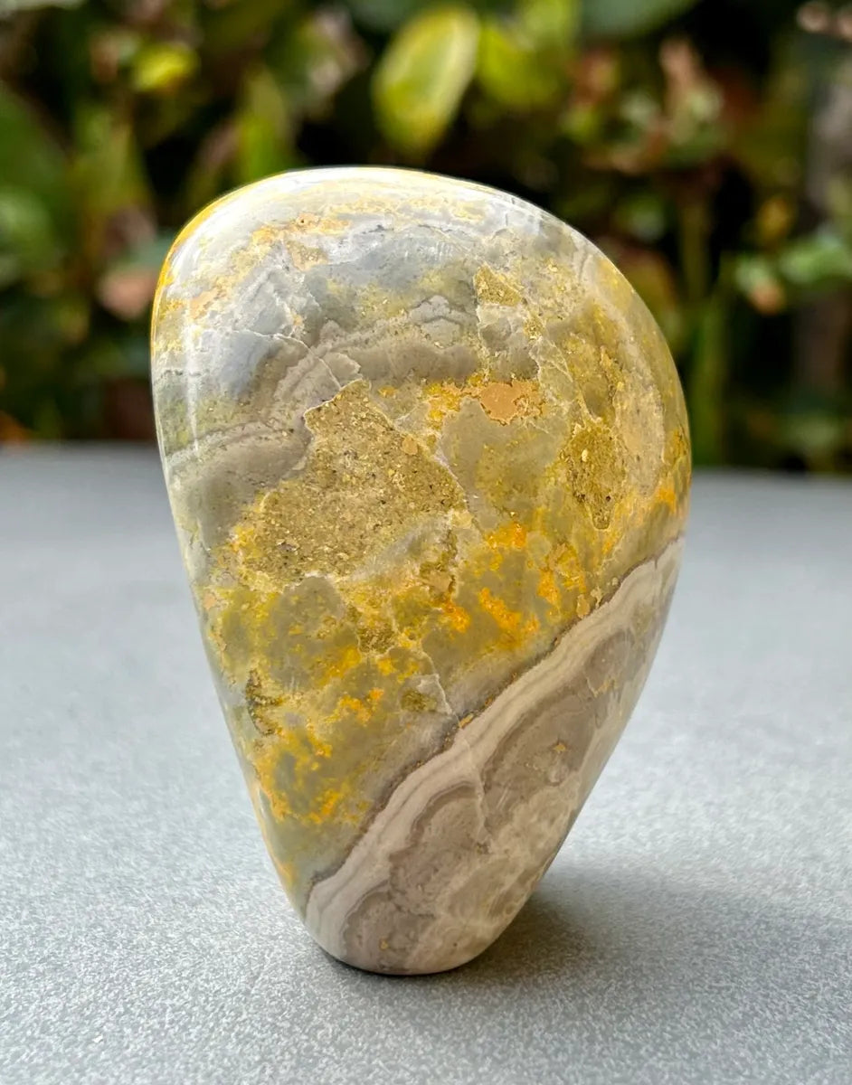 Bumblebee Jasper Freeform