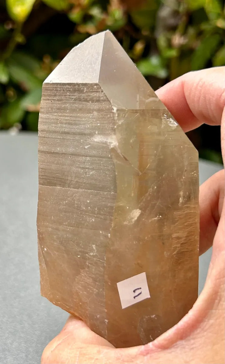 Smokey Lemurian Quartz Point