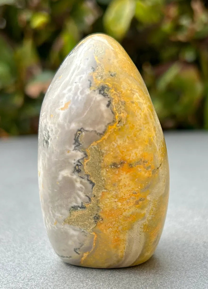 Bumblebee Jasper Freeform