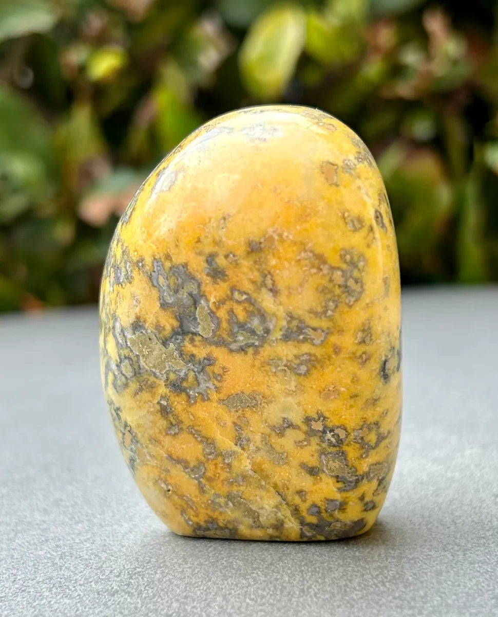 Bumblebee Jasper Freeform