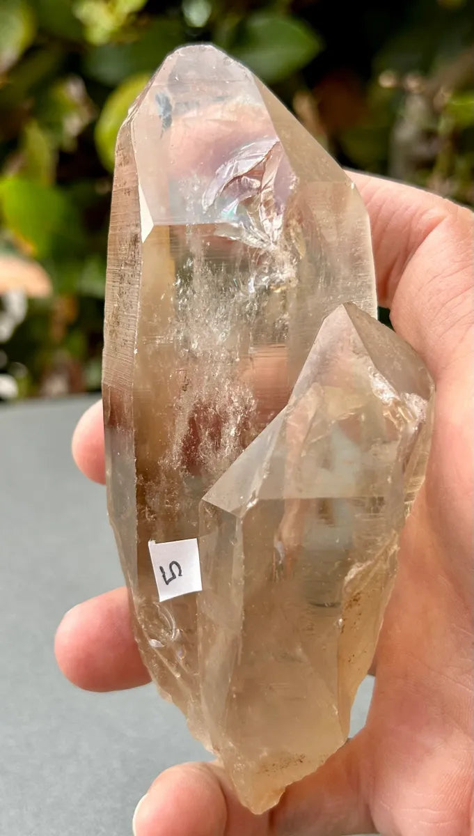 Smokey Lemurian Quartz Point