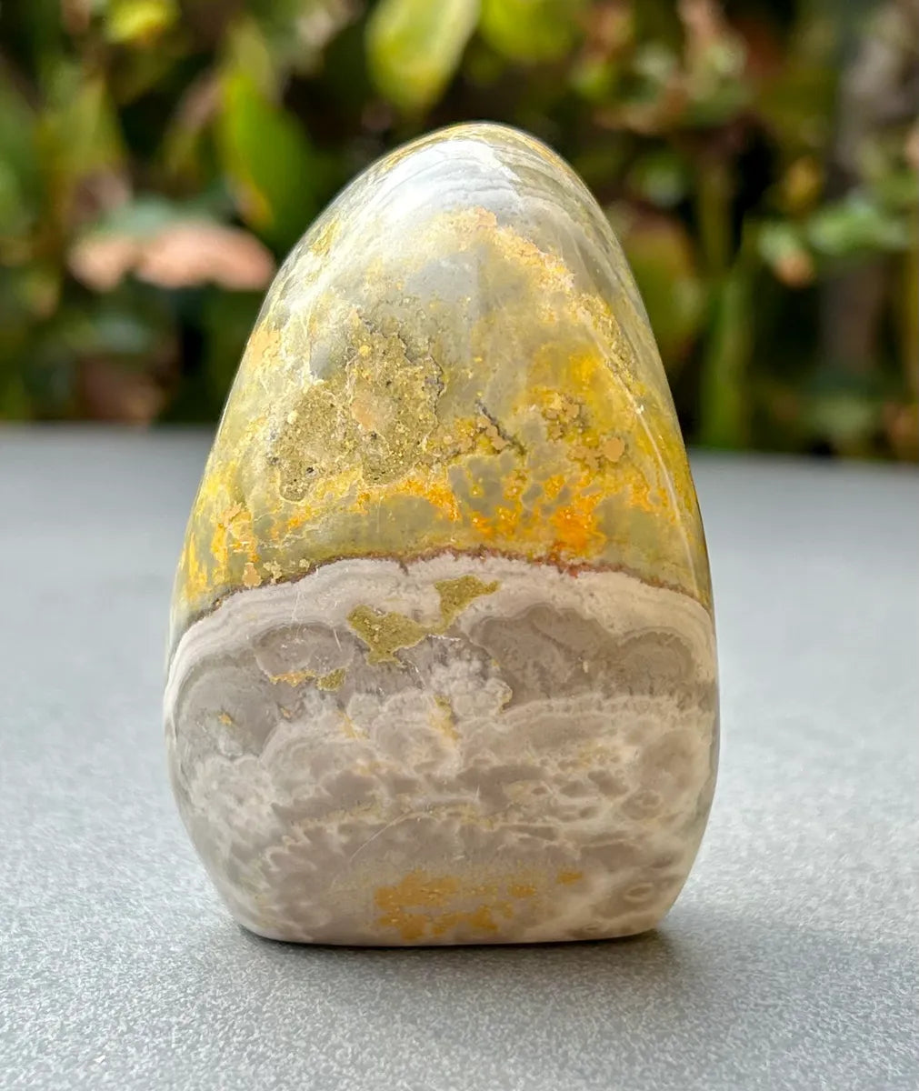 Bumblebee Jasper Freeform