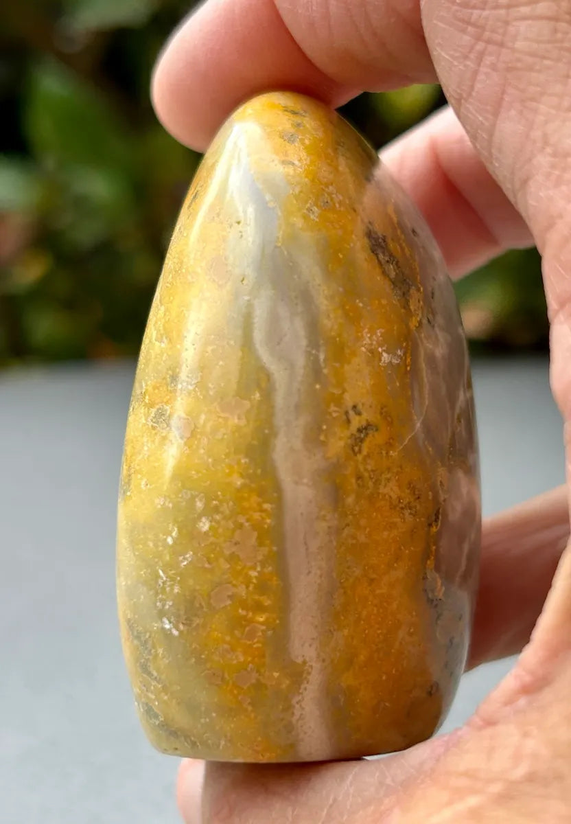 Bumblebee Jasper Freeform