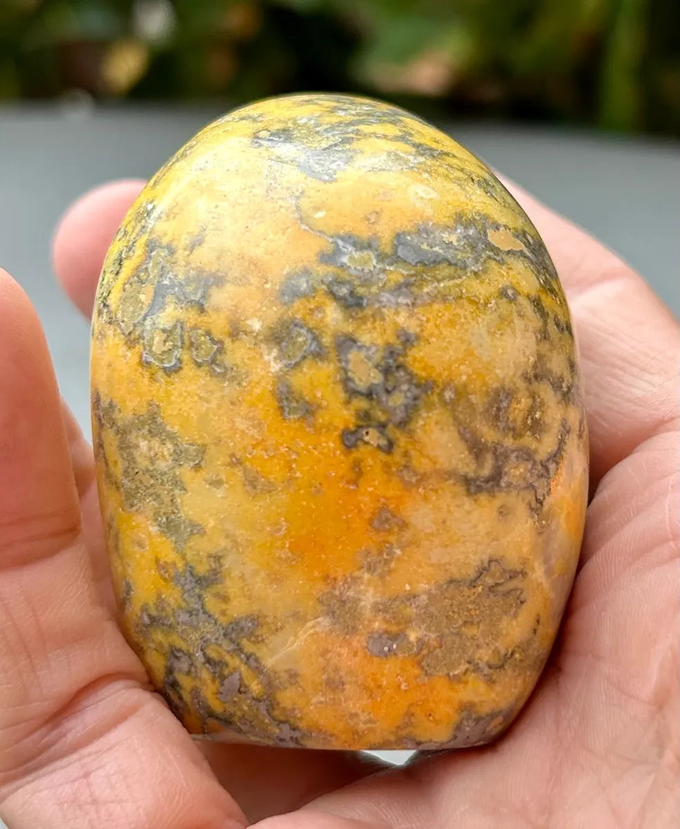 Bumblebee Jasper Freeform