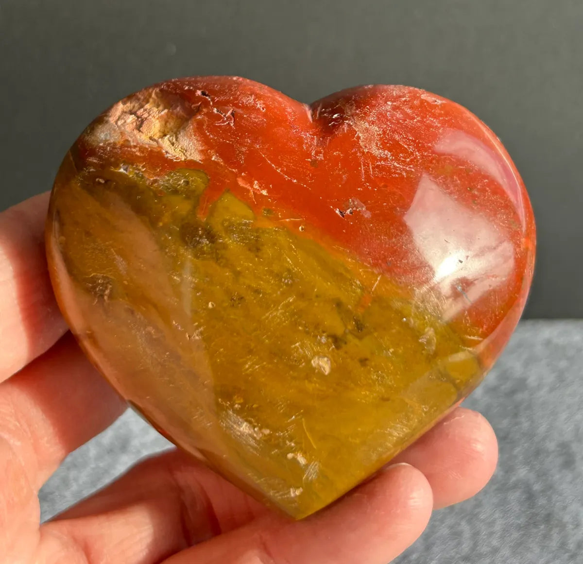 Petrified Wood Heart
