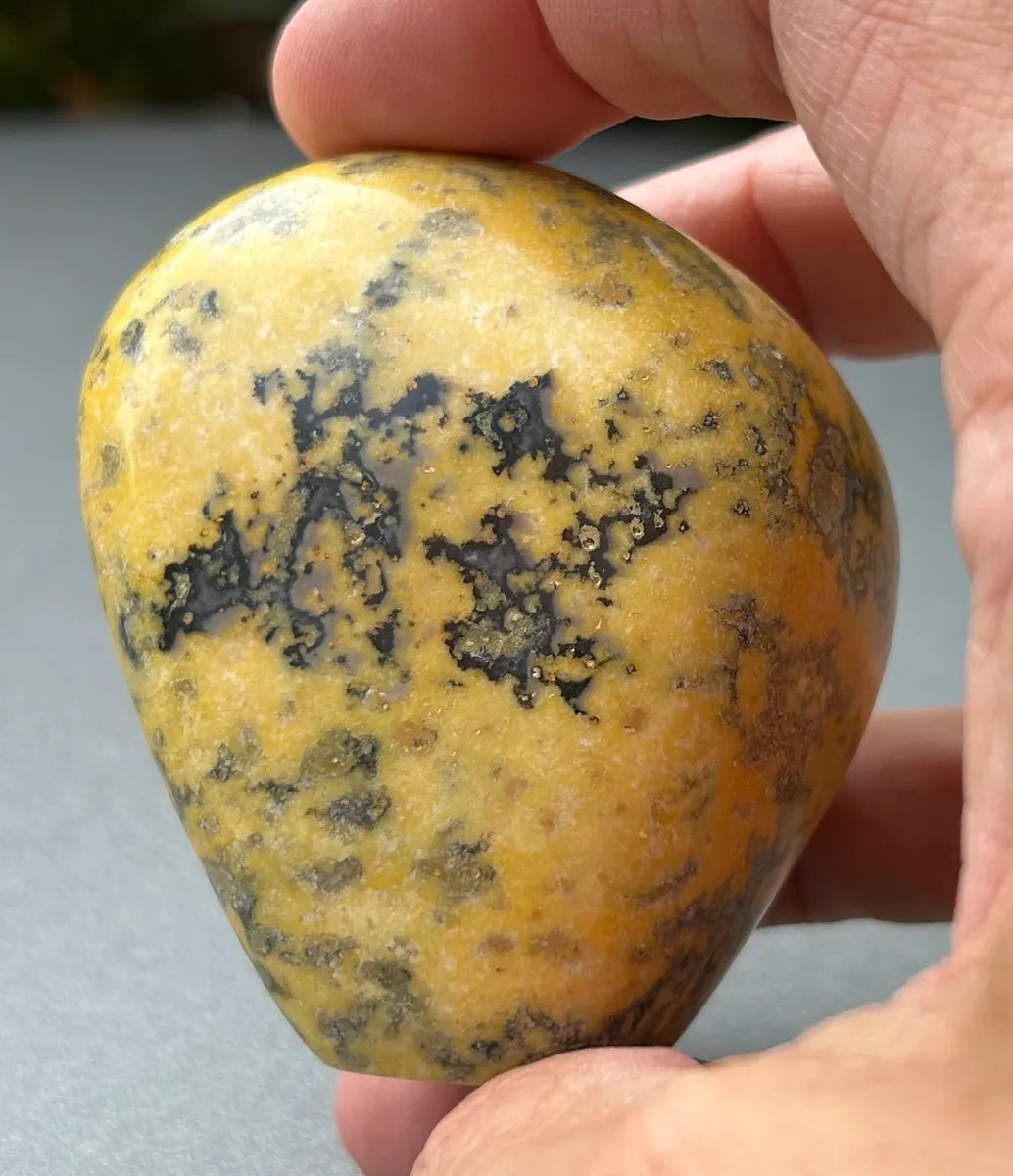 Bumblebee Jasper Freeform