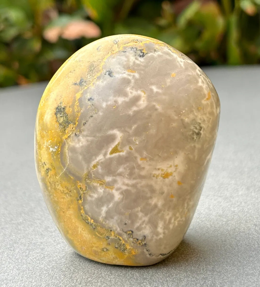 Bumblebee Jasper Freeform