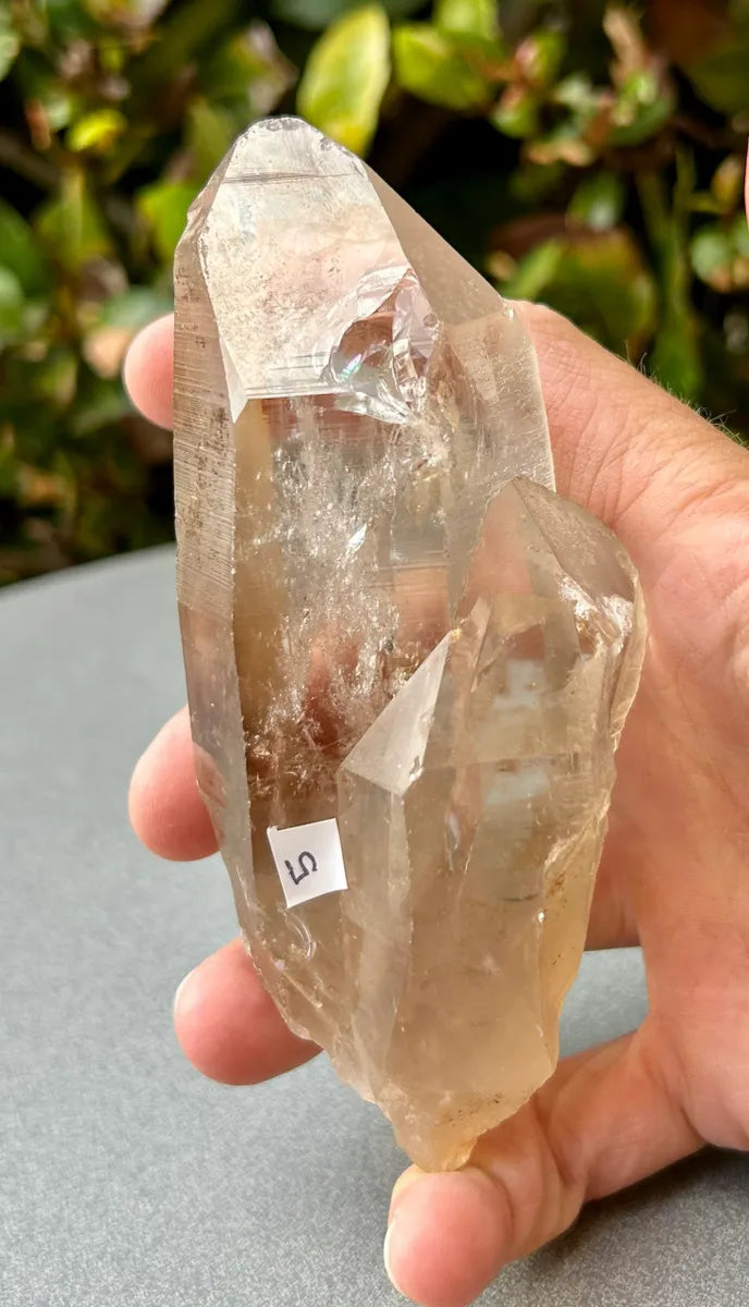 Smokey Lemurian Quartz Point