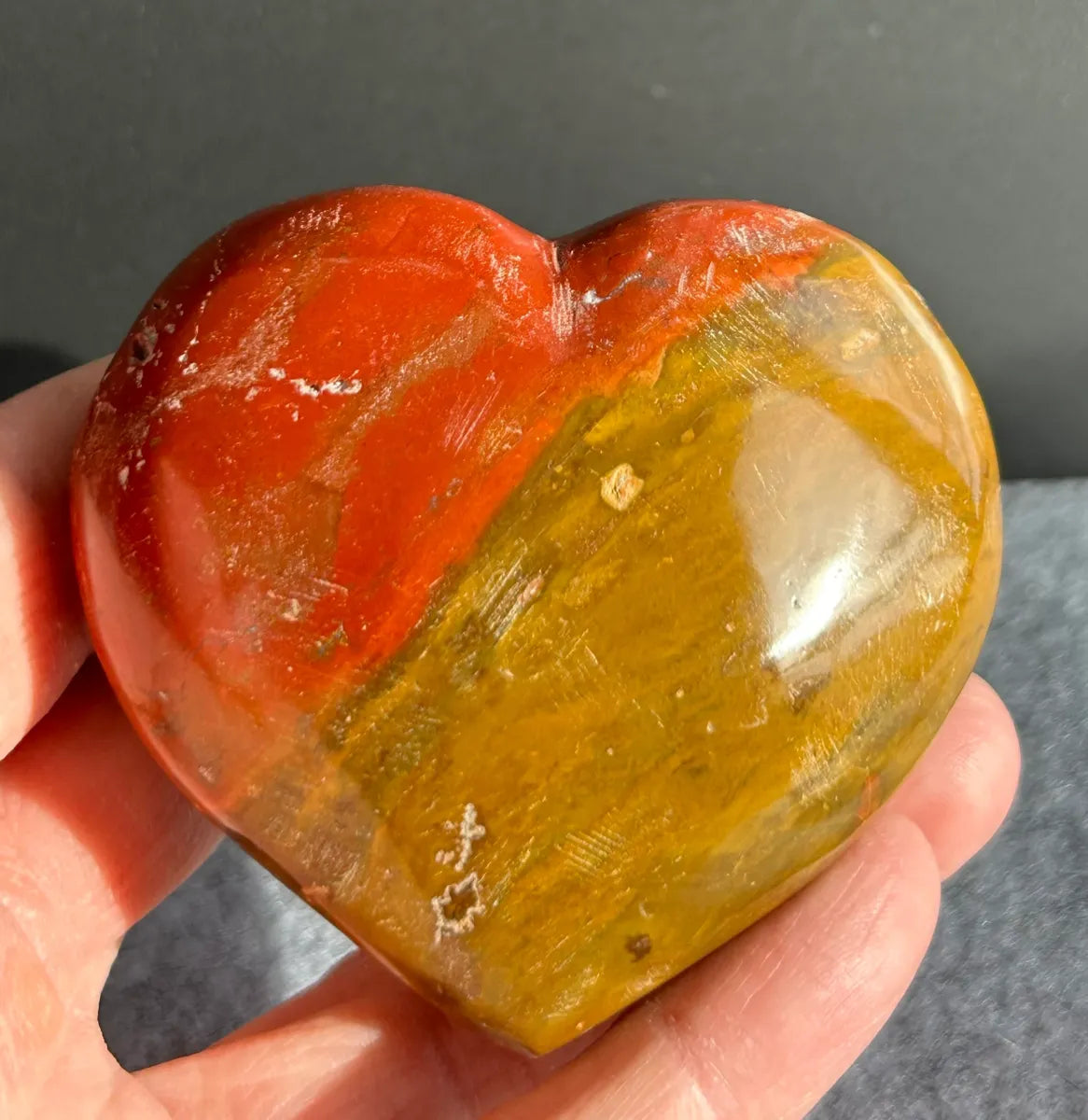 Petrified Wood Heart
