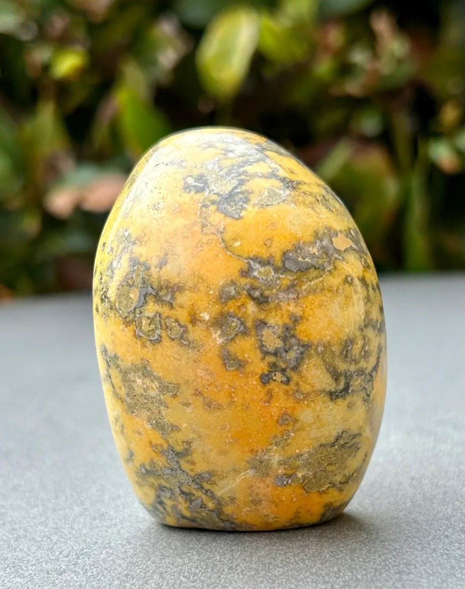 Bumblebee Jasper Freeform