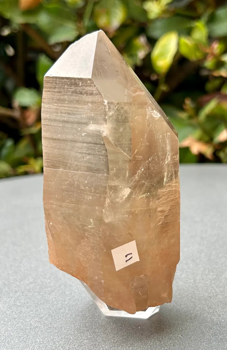 Smokey Lemurian Quartz Point