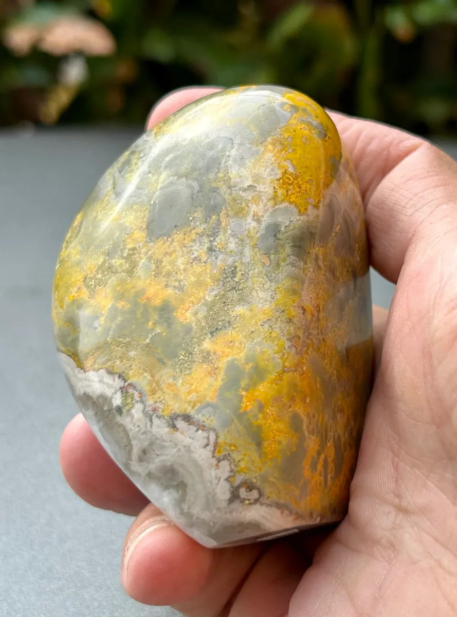 Bumblebee Jasper Freeform