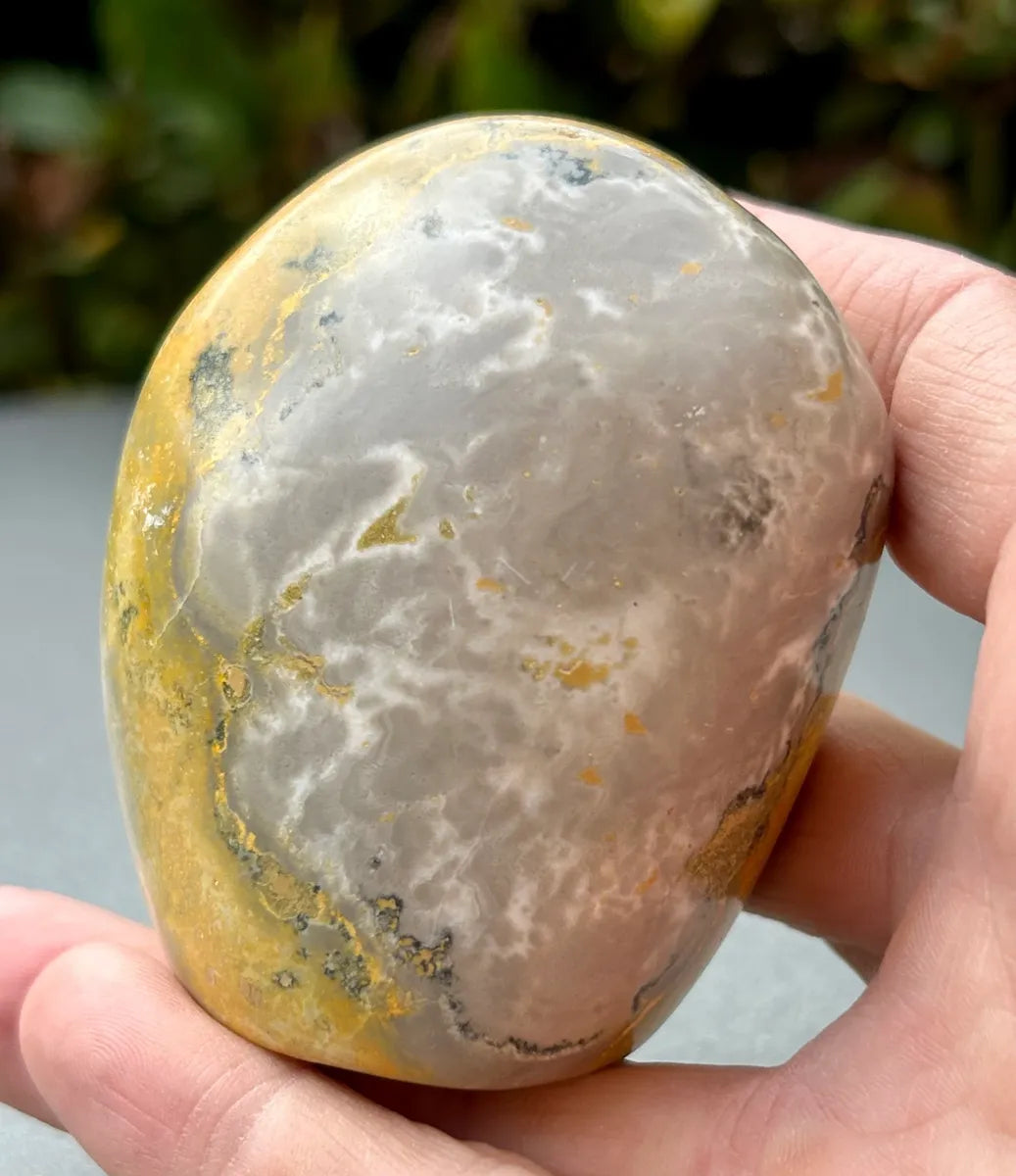 Bumblebee Jasper Freeform