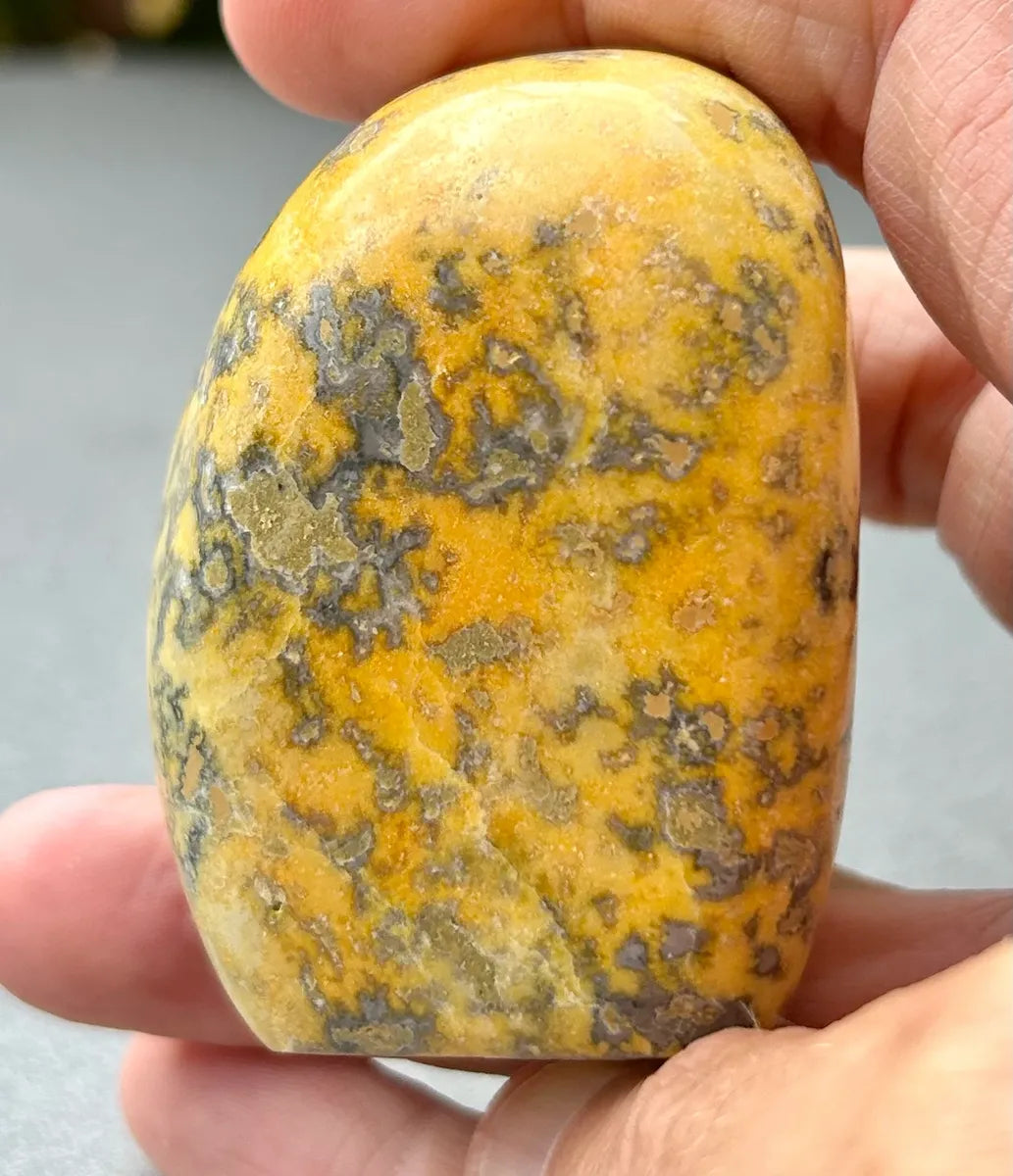 Bumblebee Jasper Freeform