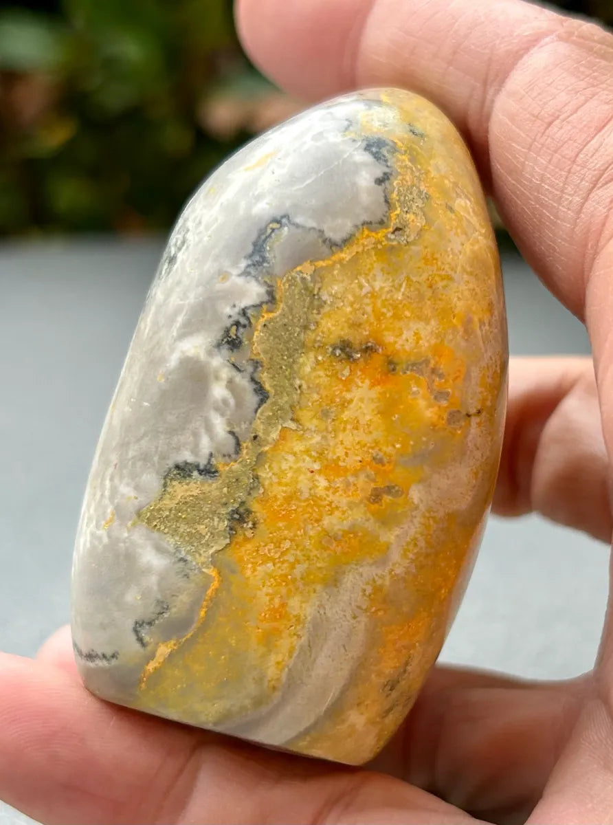 Bumblebee Jasper Freeform