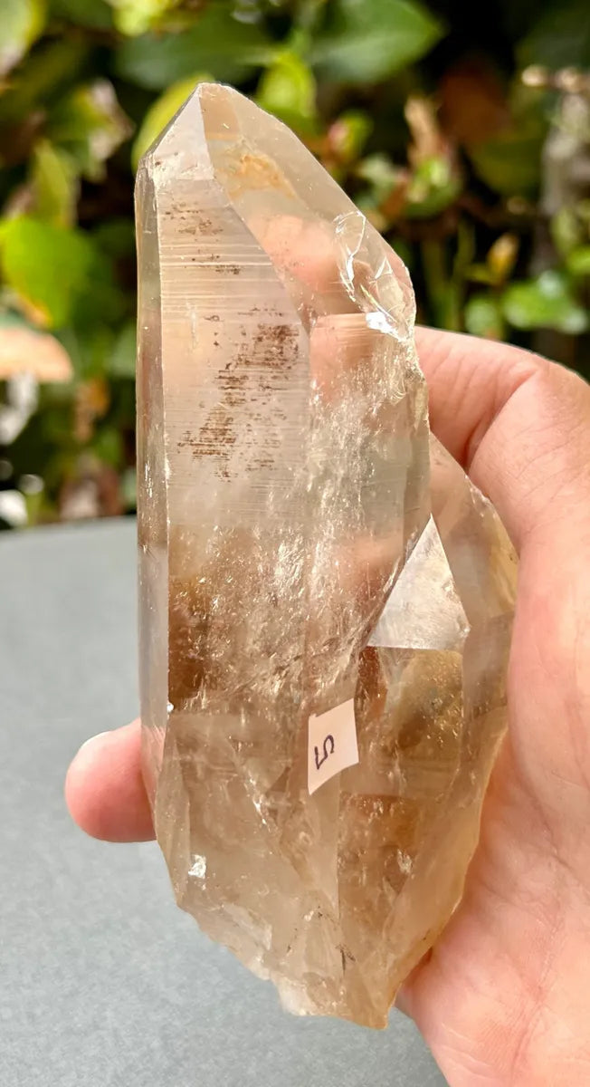 Smokey Lemurian Quartz Point