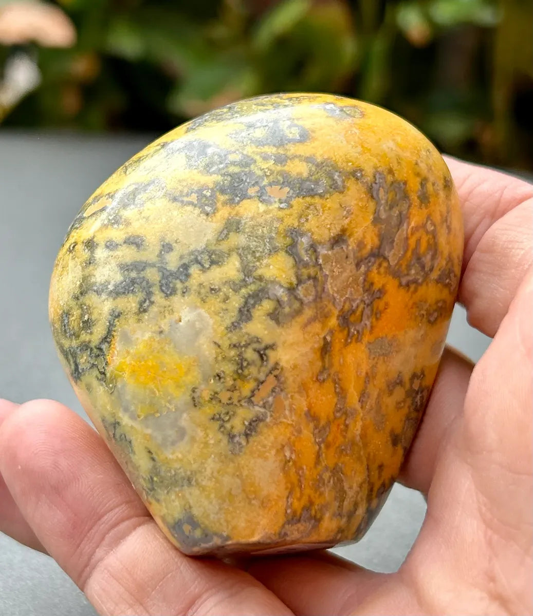 Bumblebee Jasper Freeform