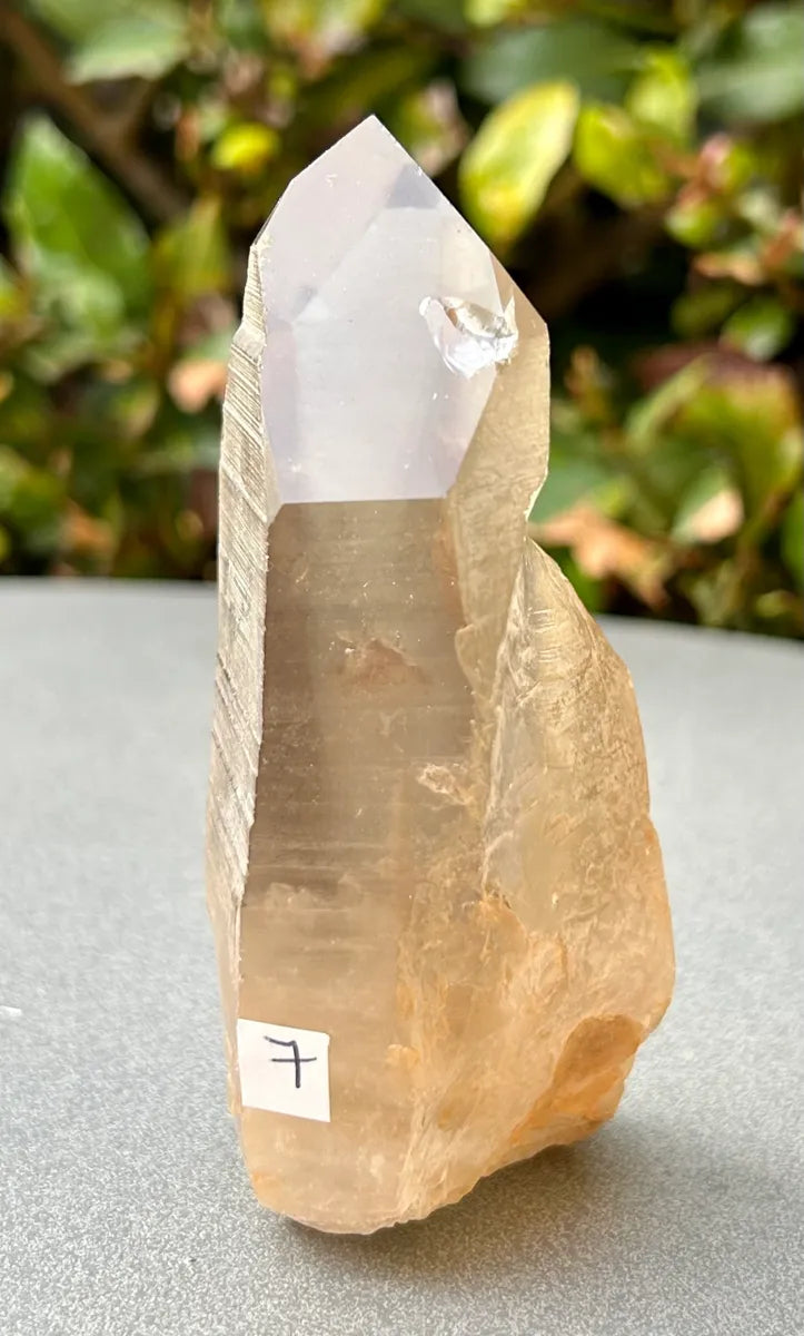 Smokey Lemurian Quartz Point