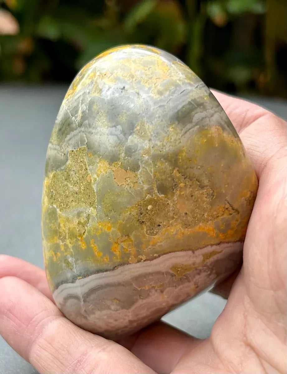 Bumblebee Jasper Freeform