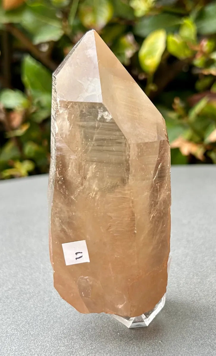 Smokey Lemurian Quartz Point