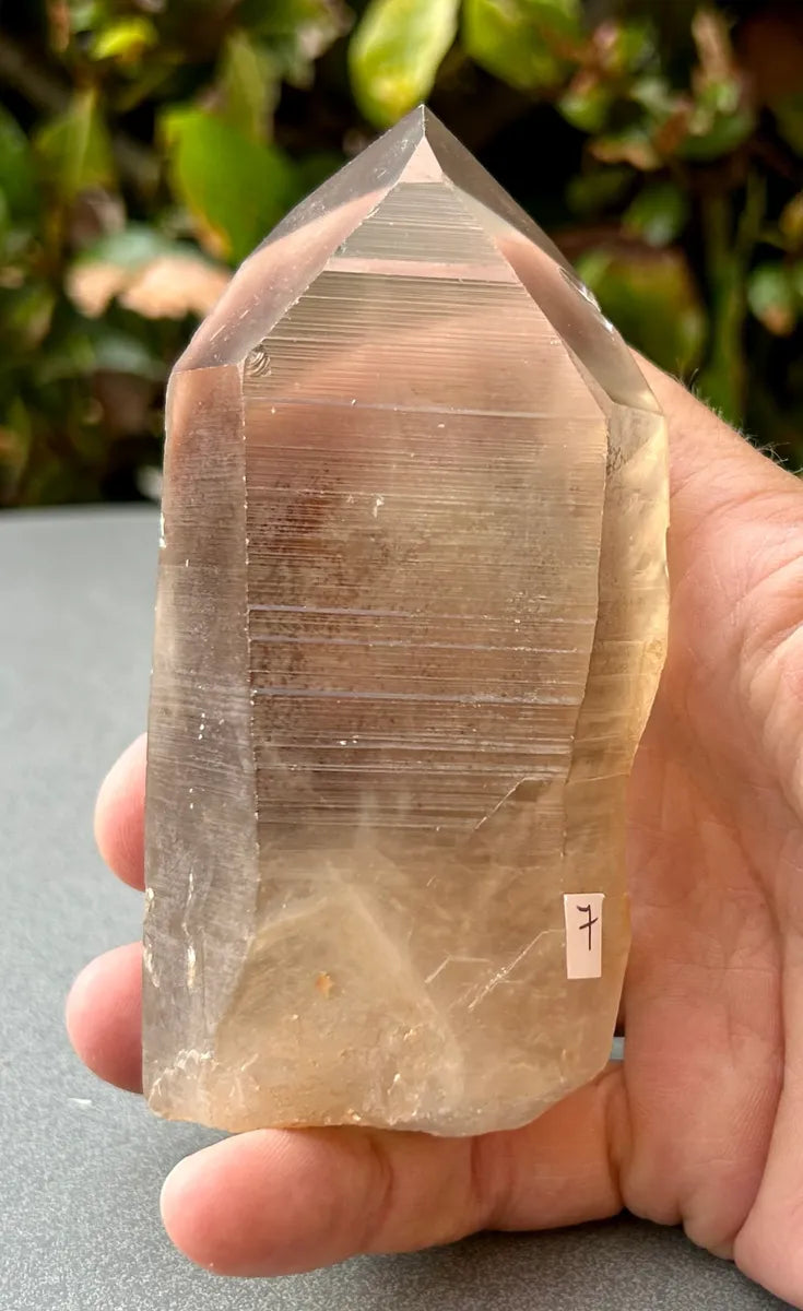 Smokey Lemurian Quartz Point