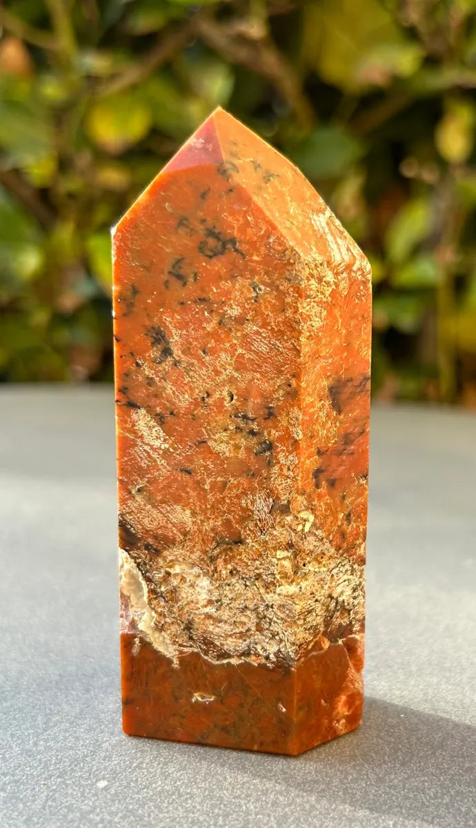 Apatite in Calcite Tower