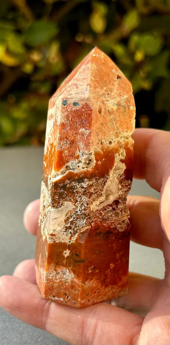 Apatite in Calcite Tower