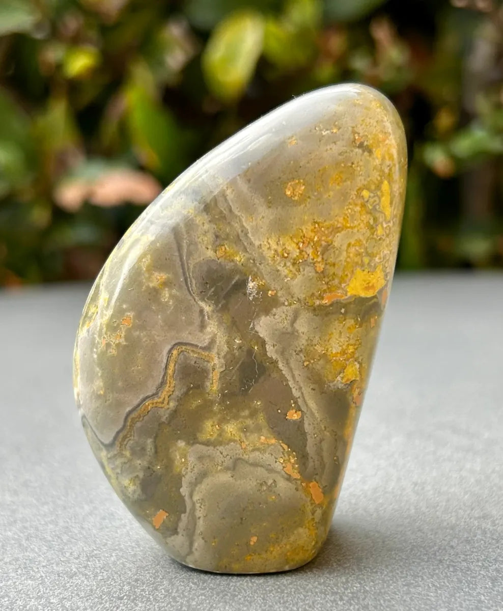 Bumblebee Jasper Freeform