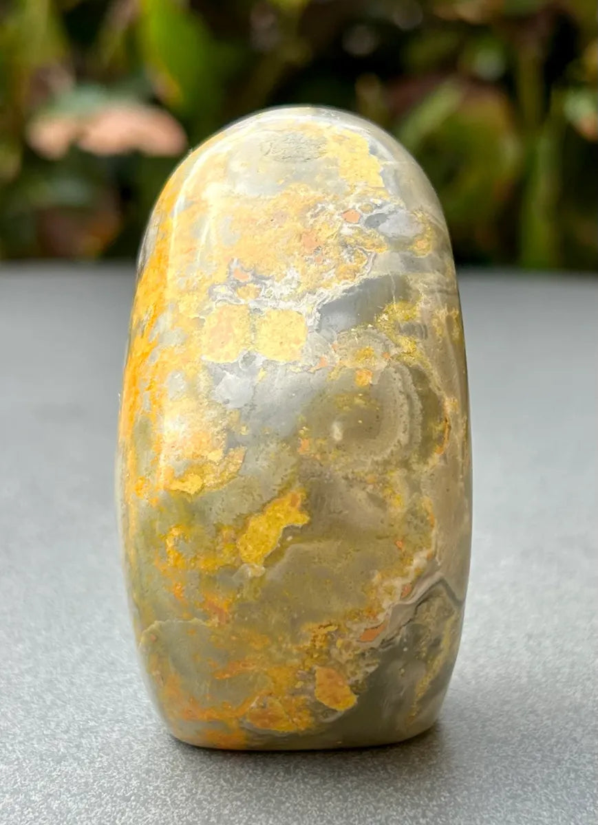 Bumblebee Jasper Freeform