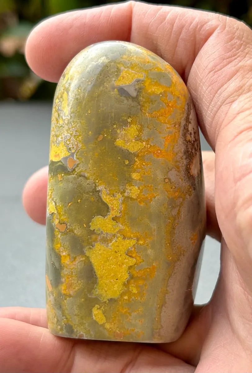Bumblebee Jasper Freeform