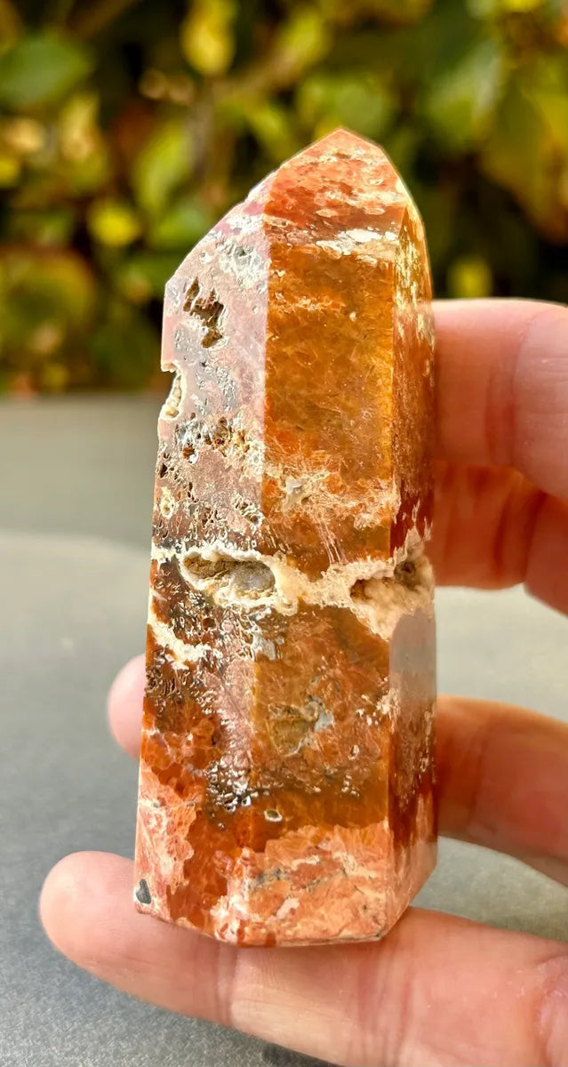 Apatite in Calcite Tower