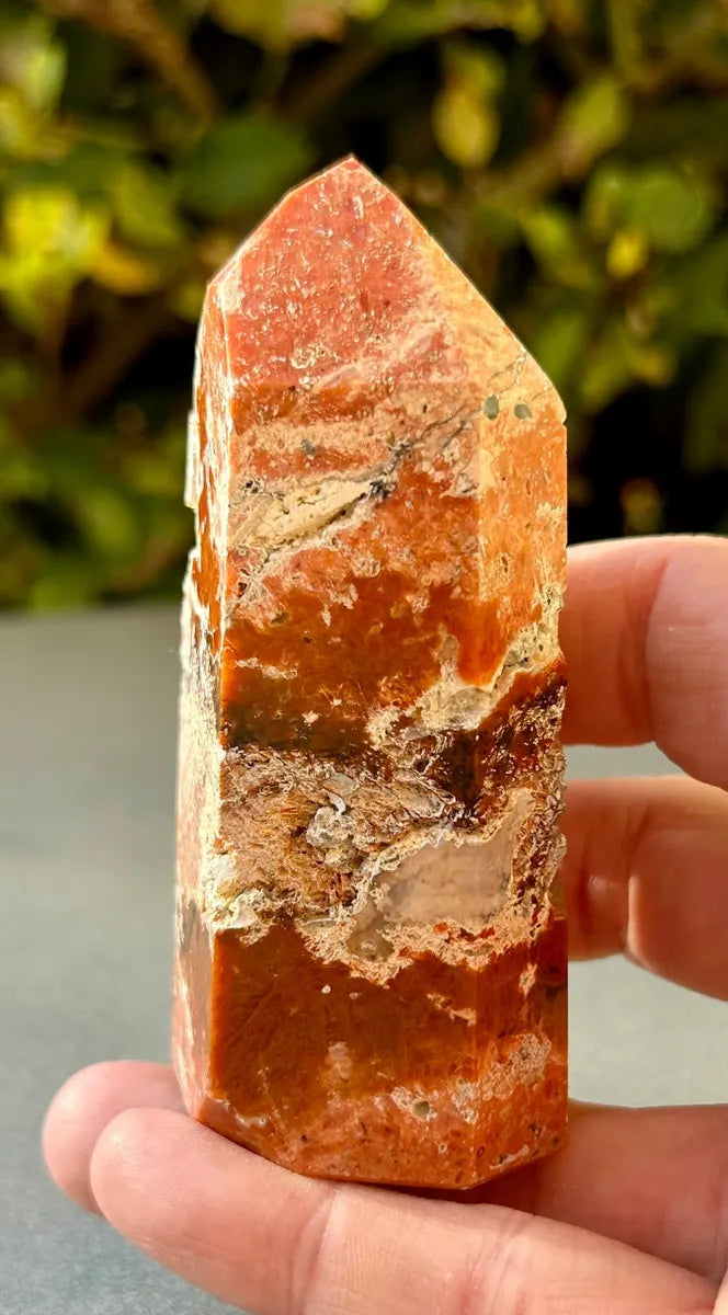 Apatite in Calcite Tower