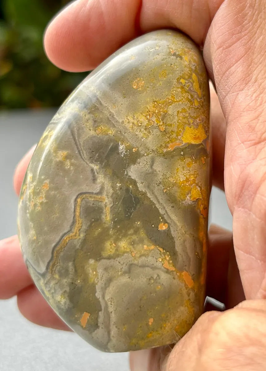Bumblebee Jasper Freeform
