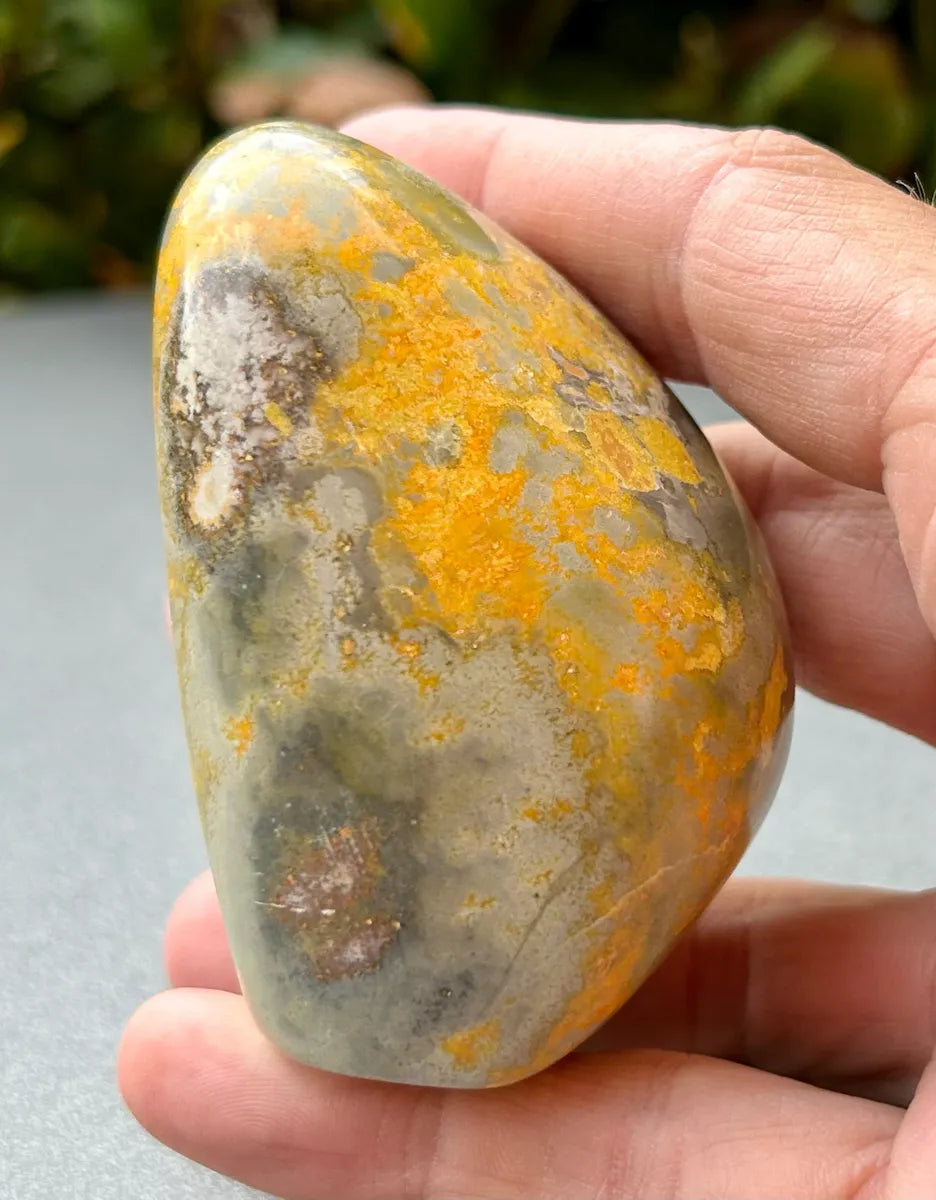 Bumblebee Jasper Freeform