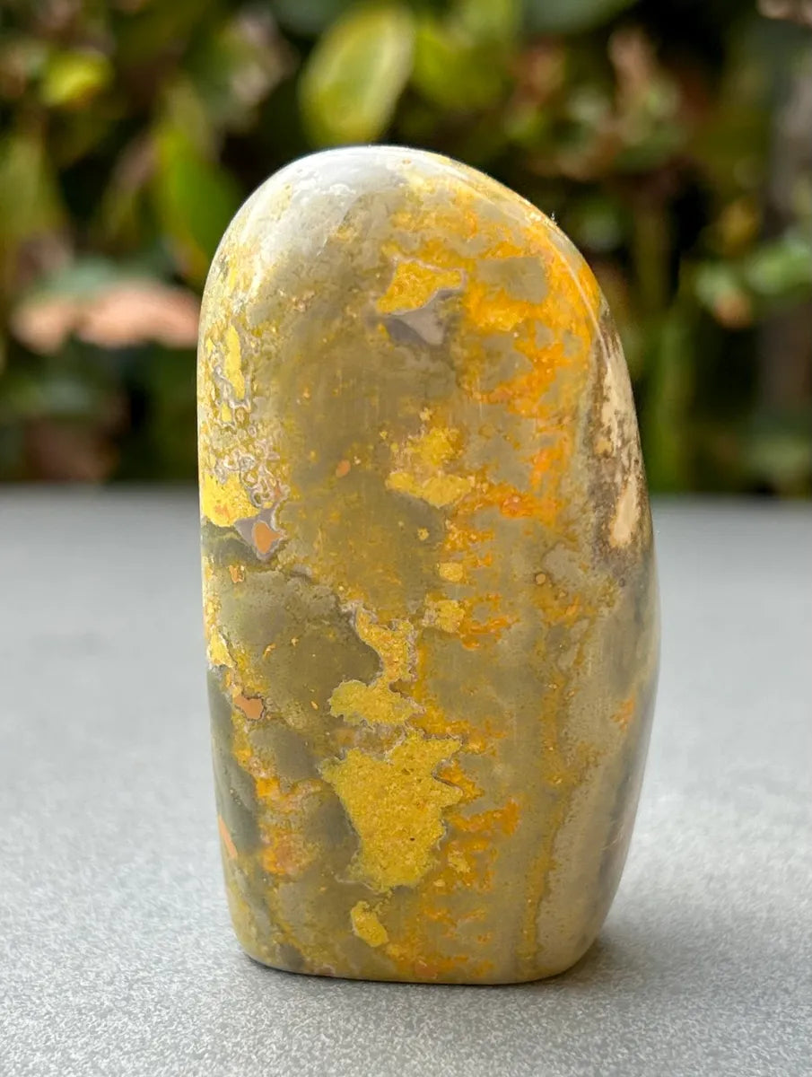Bumblebee Jasper Freeform