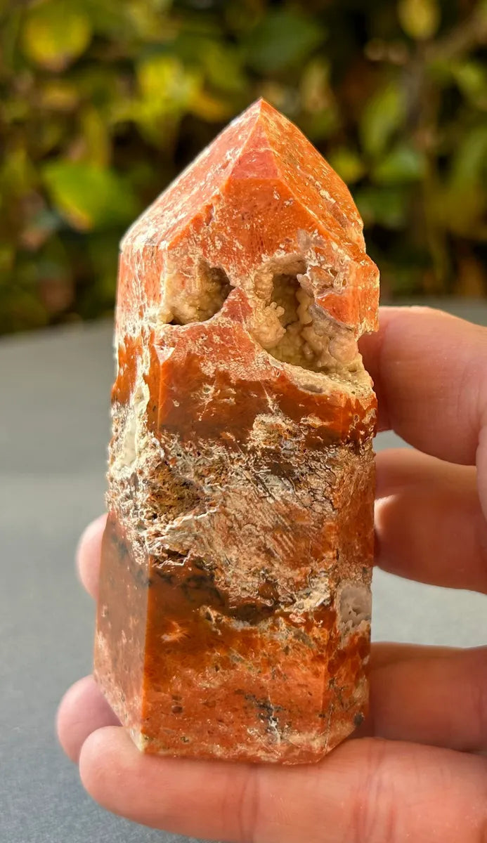 Apatite in Calcite Tower