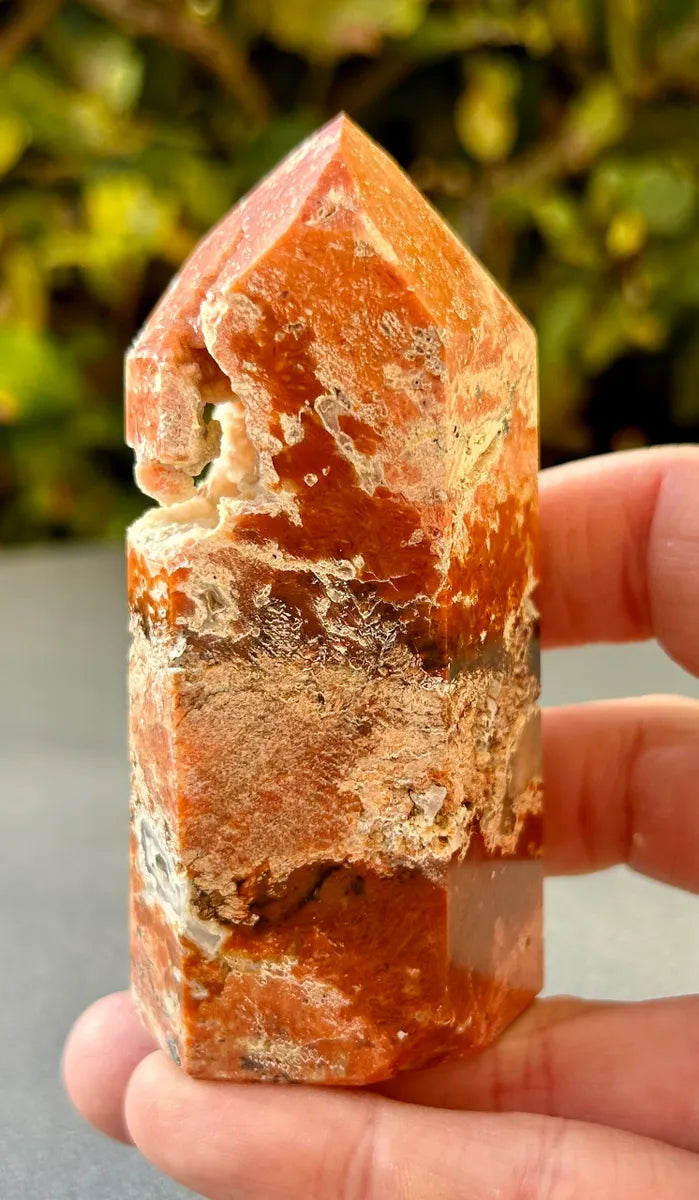 Apatite in Calcite Tower