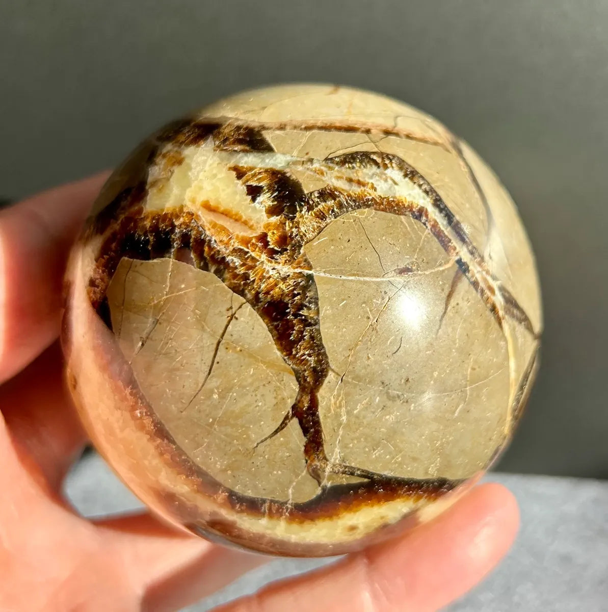 Septarian Sphere