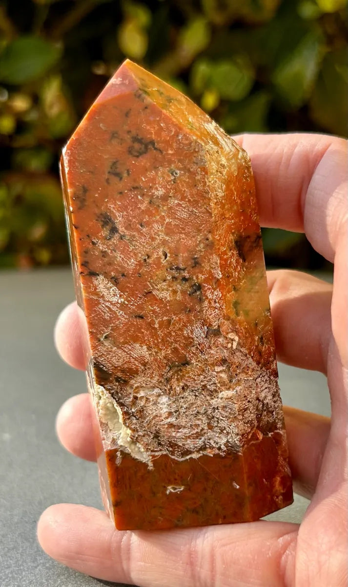 Apatite in Calcite Tower