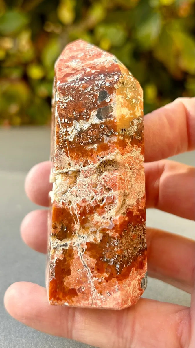 Apatite in Calcite Tower
