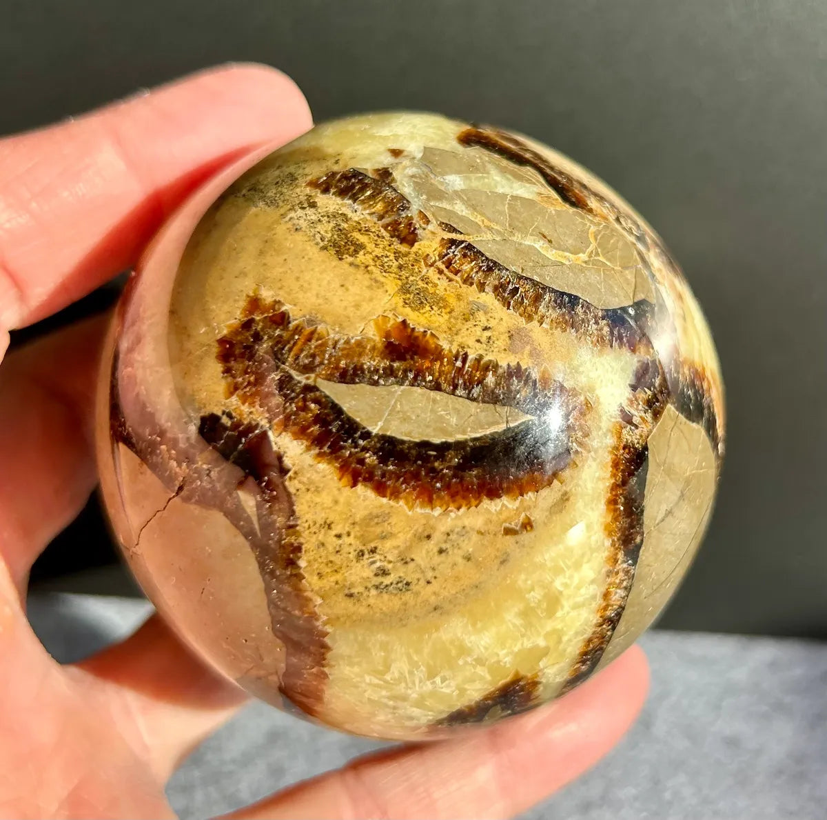 Septarian Sphere